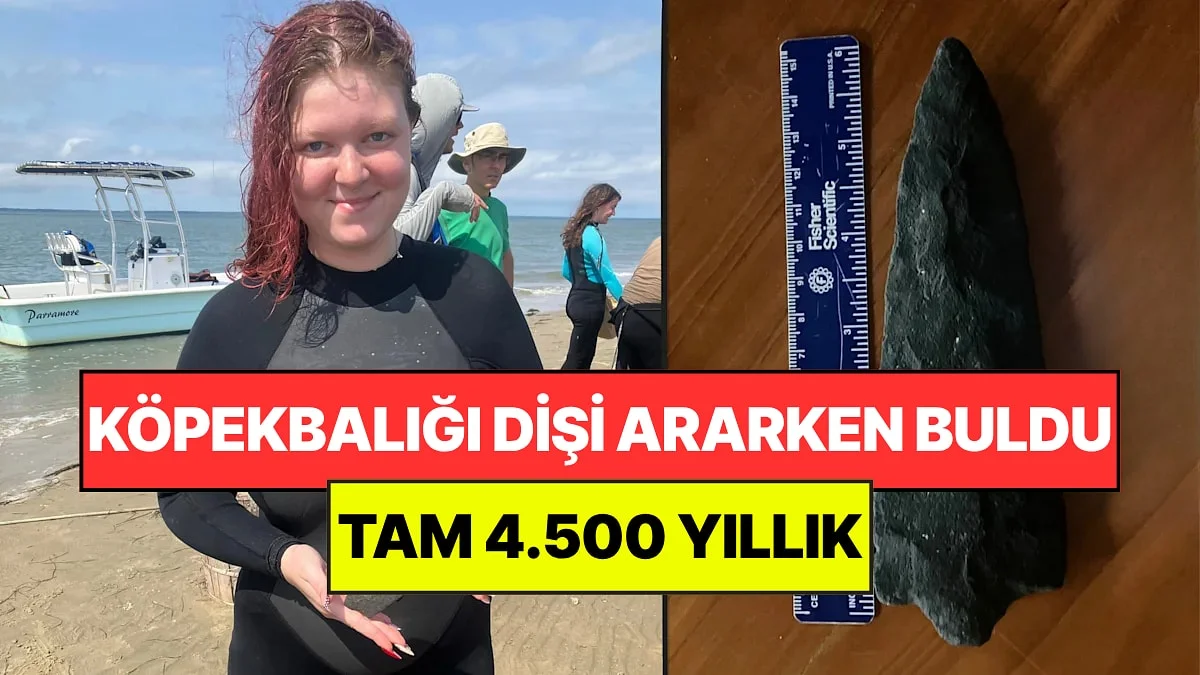 Köpekbalığı Dişi Ararken Beklemediğini Buldu: Tam 4.500 Yıllık