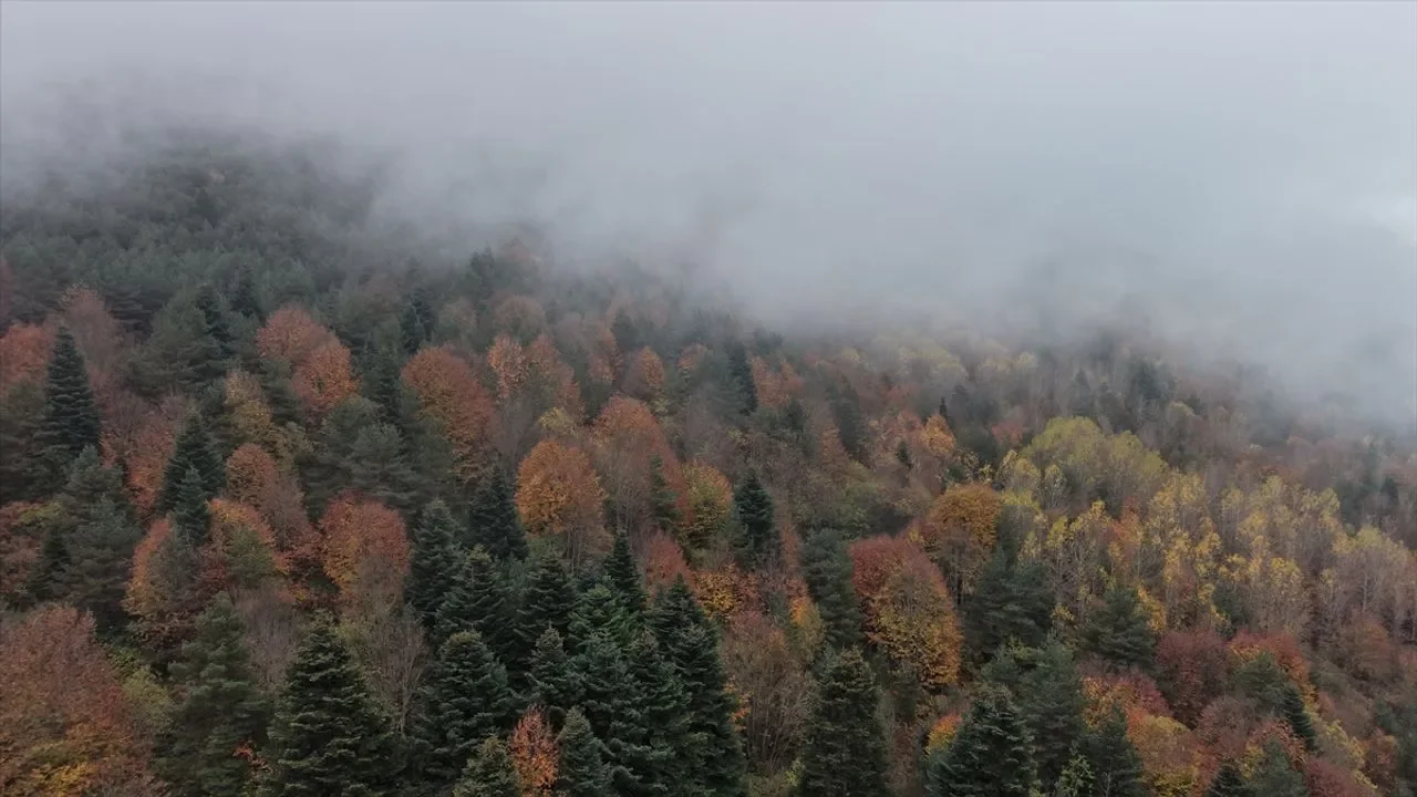 Kızlan Yaylası sonbahar renklerine büründü