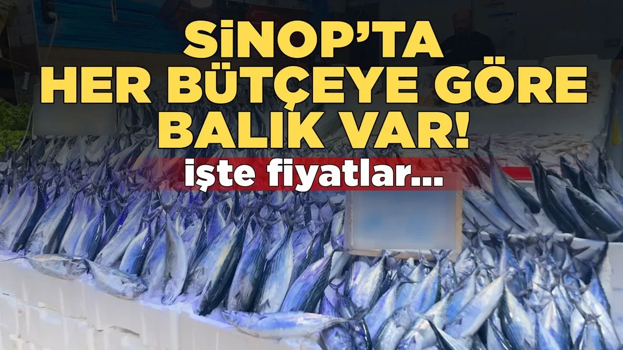 Sinop’ta herkes bütçeye göre balık var