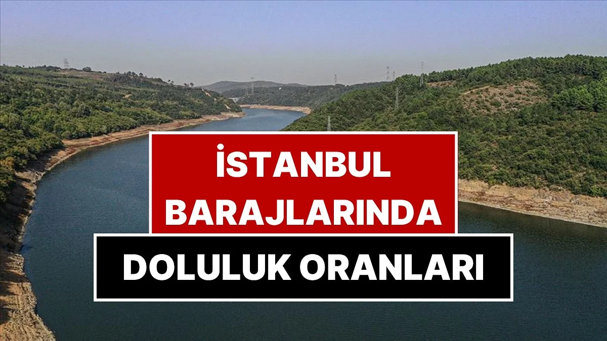 İstanbul Barajlarında Doluluk Oranı Yüzde 53,8'e Yükseldi, Hangi Baraj Ne Kadar Dolu?