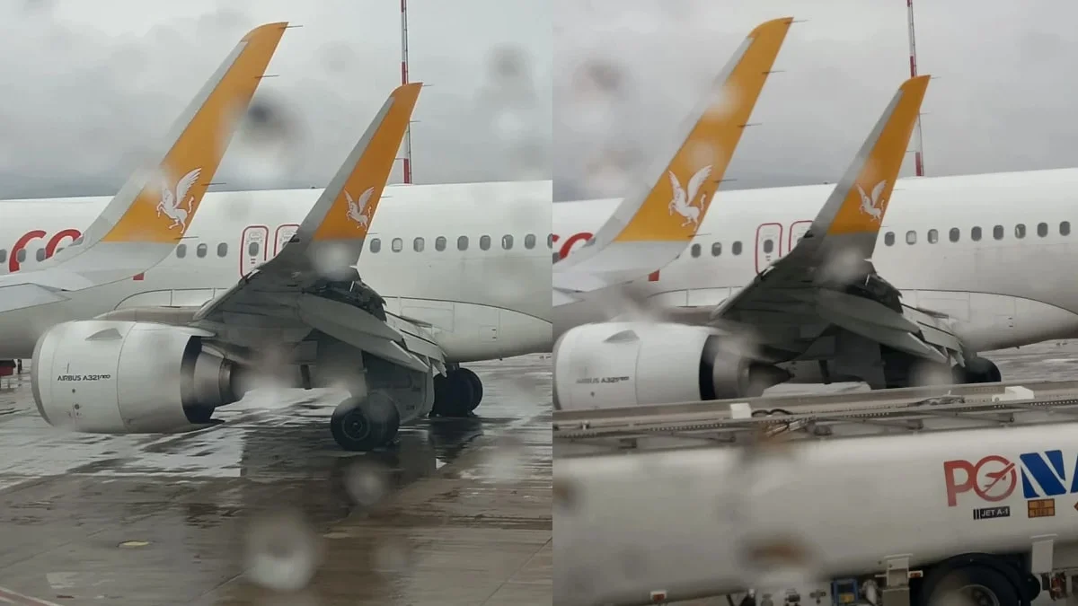 İstanbul'dan kalkan uçak sürüye çarptı: Kanadını görenler şoke oldu