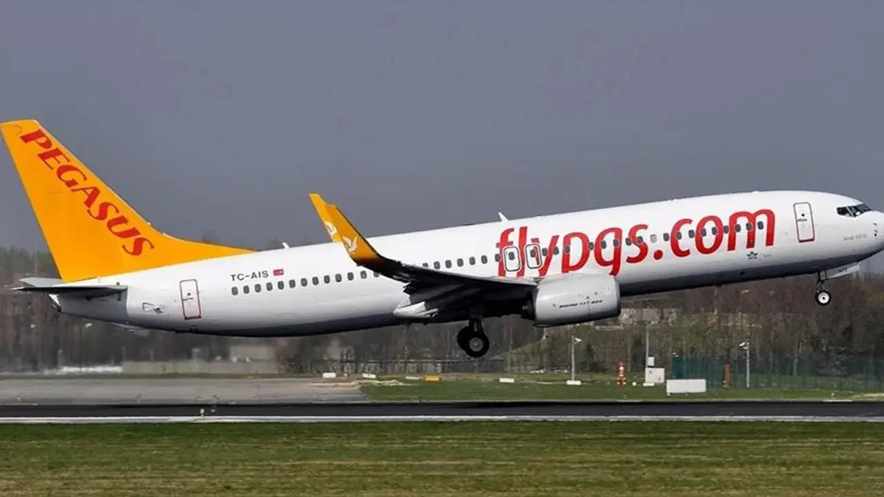 Pegasus uçağına havada kuş çarptı: Sabiha Gökçen'e acil iniş yaptı!