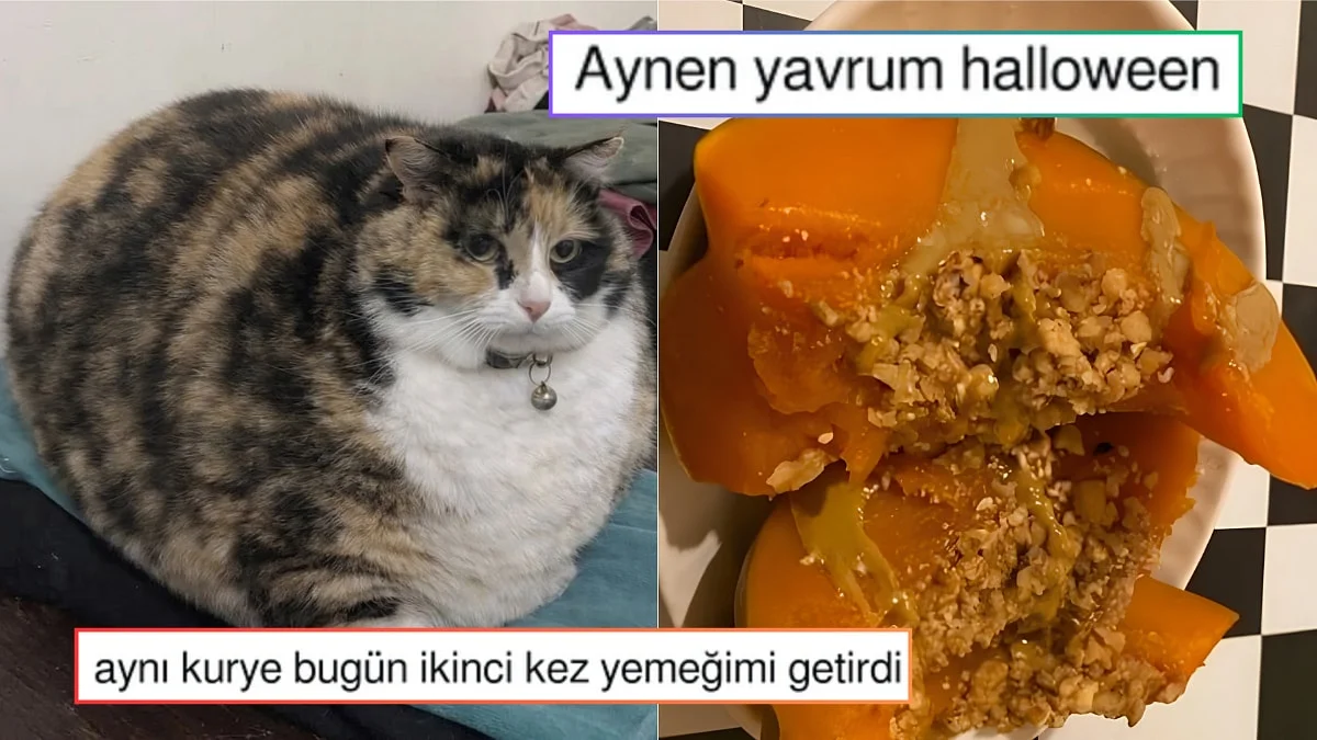 Maaşların 3 Günde 1 Yatması Gerektiğini Savunandan Halloween'e En Uygun Tatlıya Son 24 Saatin Viral Tweetleri