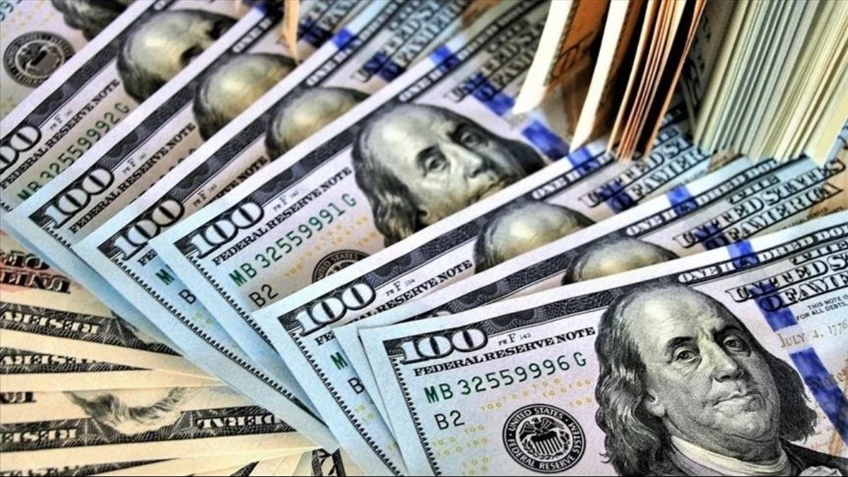 Merkez Bankası rezervleri bir haftada 6,9 milyar dolar azaldı