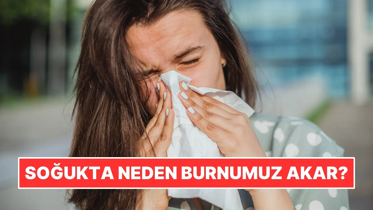 Soğuk Havada Neden Burnumuz Akar?