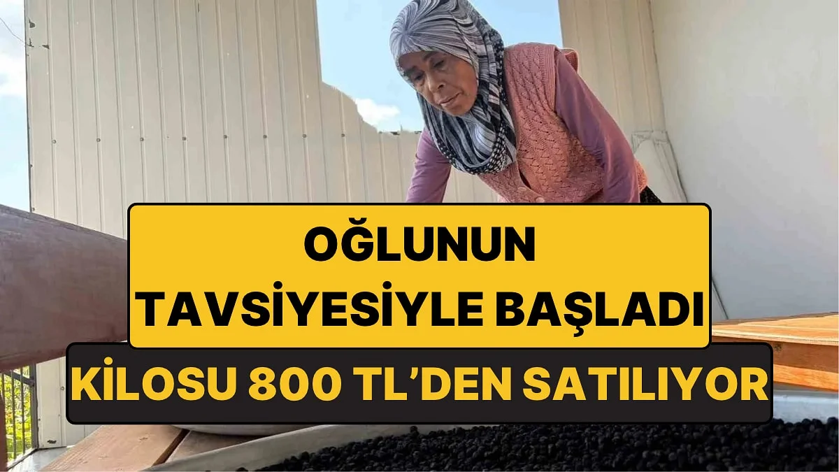 Oğlunun Tavsiyesiyle Yetiştirmeye Başladı: Kilosunu 800 TL'ye Satıyor